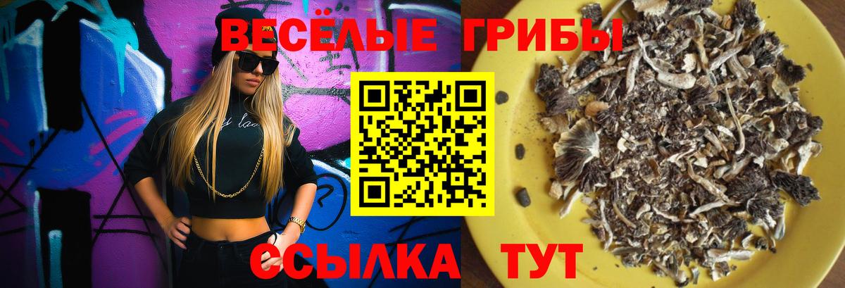Псилоцибиновые грибы прущие грибы  Галлюциногенные грибы Psilocybine cubensis  Кстово  как найти закладки  Вход с VPN 