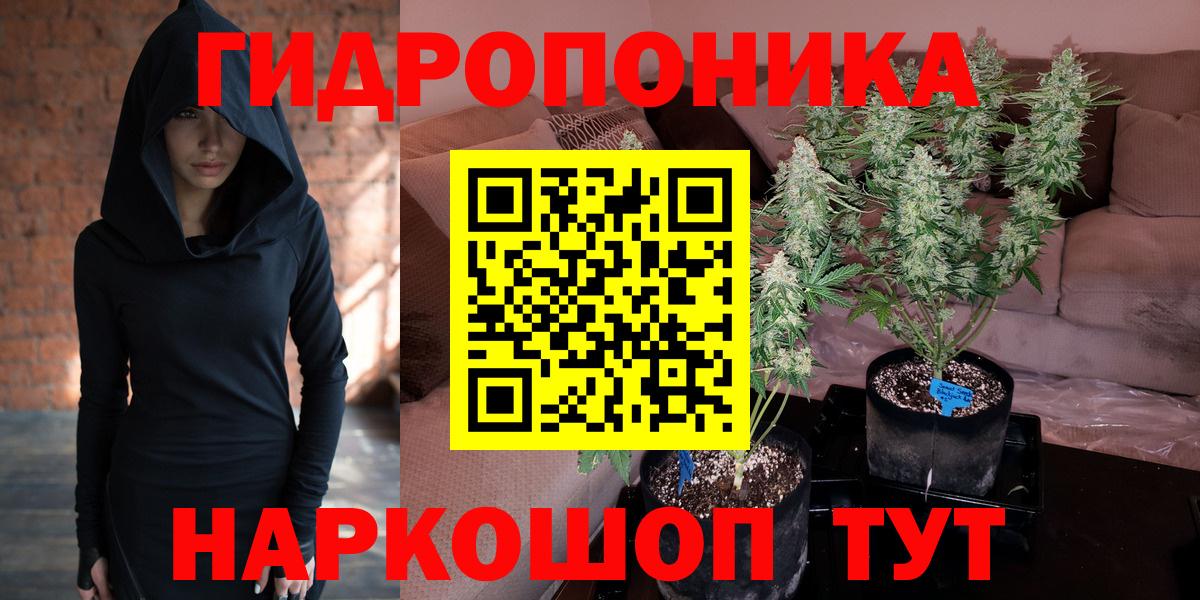 Бошки Шишки планчик Кстово